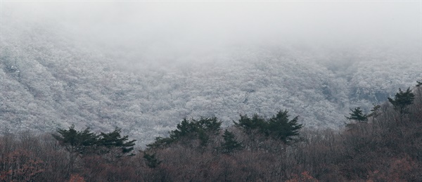 11월 9일 함양 남덕유산 첫 눈.