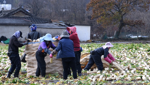 거창군 가조면 동례리