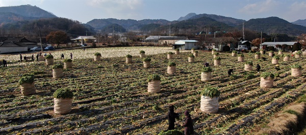 거창군 가조면 동례리