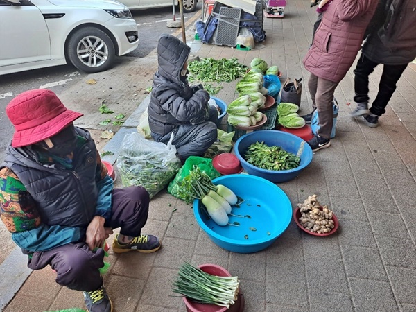 만성리에서 직접 농사지어 농산물을 가져왔다는 한 할머니가 무와 배추를 사가라며 손님에게 권한다.