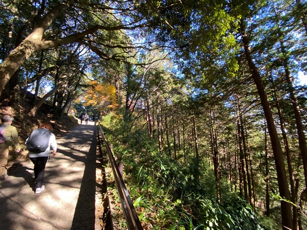 지난 11일 ‘지속가능한 한반도 평화실현과 종전선언 지지’를 위한 단체산행에 참가한 시민들.