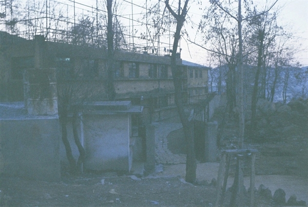1977년경 서울시립아동보호소 부지 내 강당 건물 사진. 안씨는 이 건물이 자신이 갇혀 살았던 '별관'으로 보인다고 말했다.