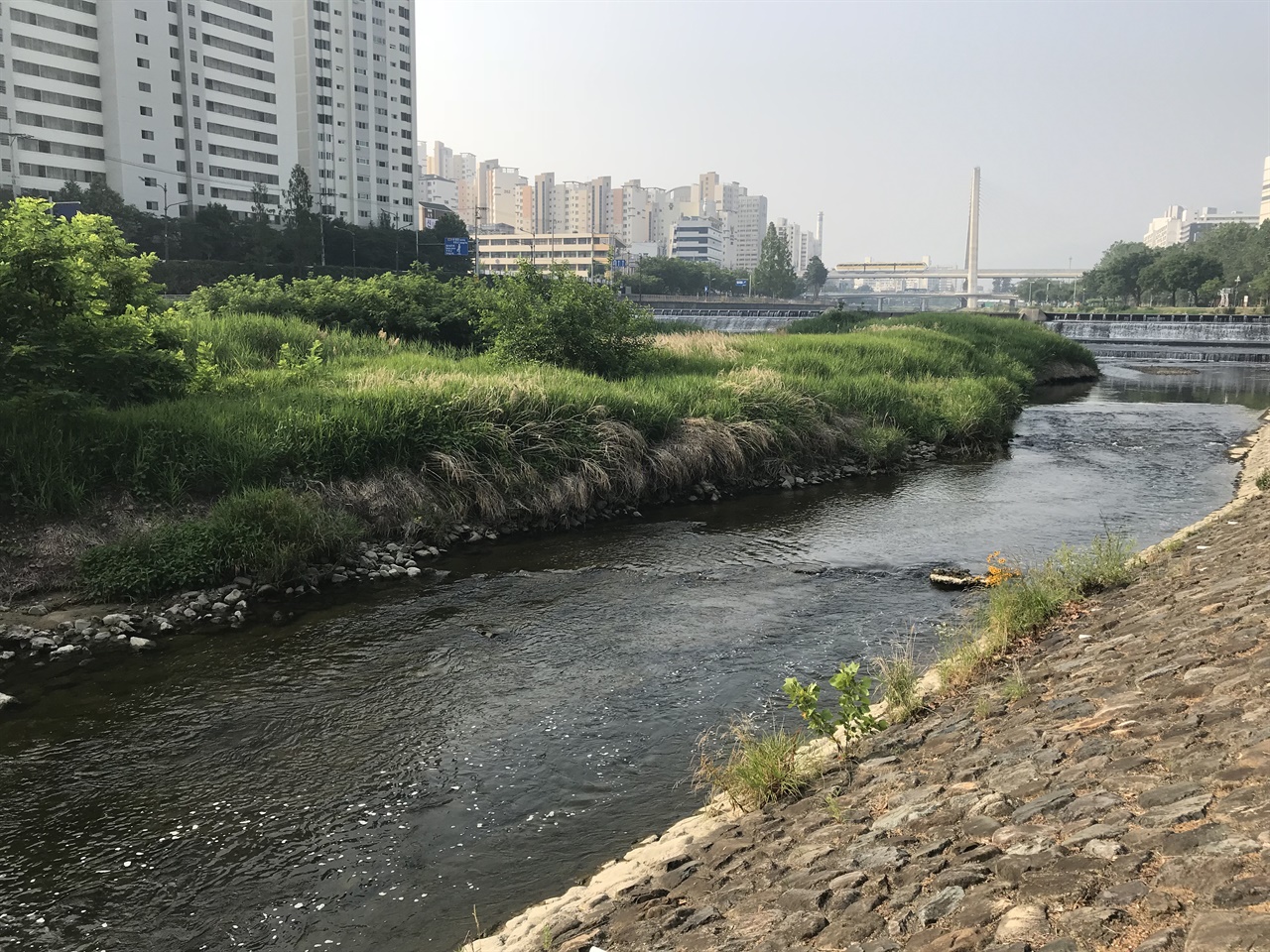  대뵹지수보 아래 작은 섬은 수달의 서식처로 수달이 살고 있었다.