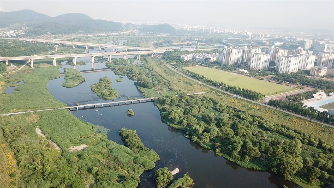 반야월 습지의 모습이다. 이곳은 바로 야생의 공간이다. 금호강은 도심의 마지막 남은 야생의 공간이다. 