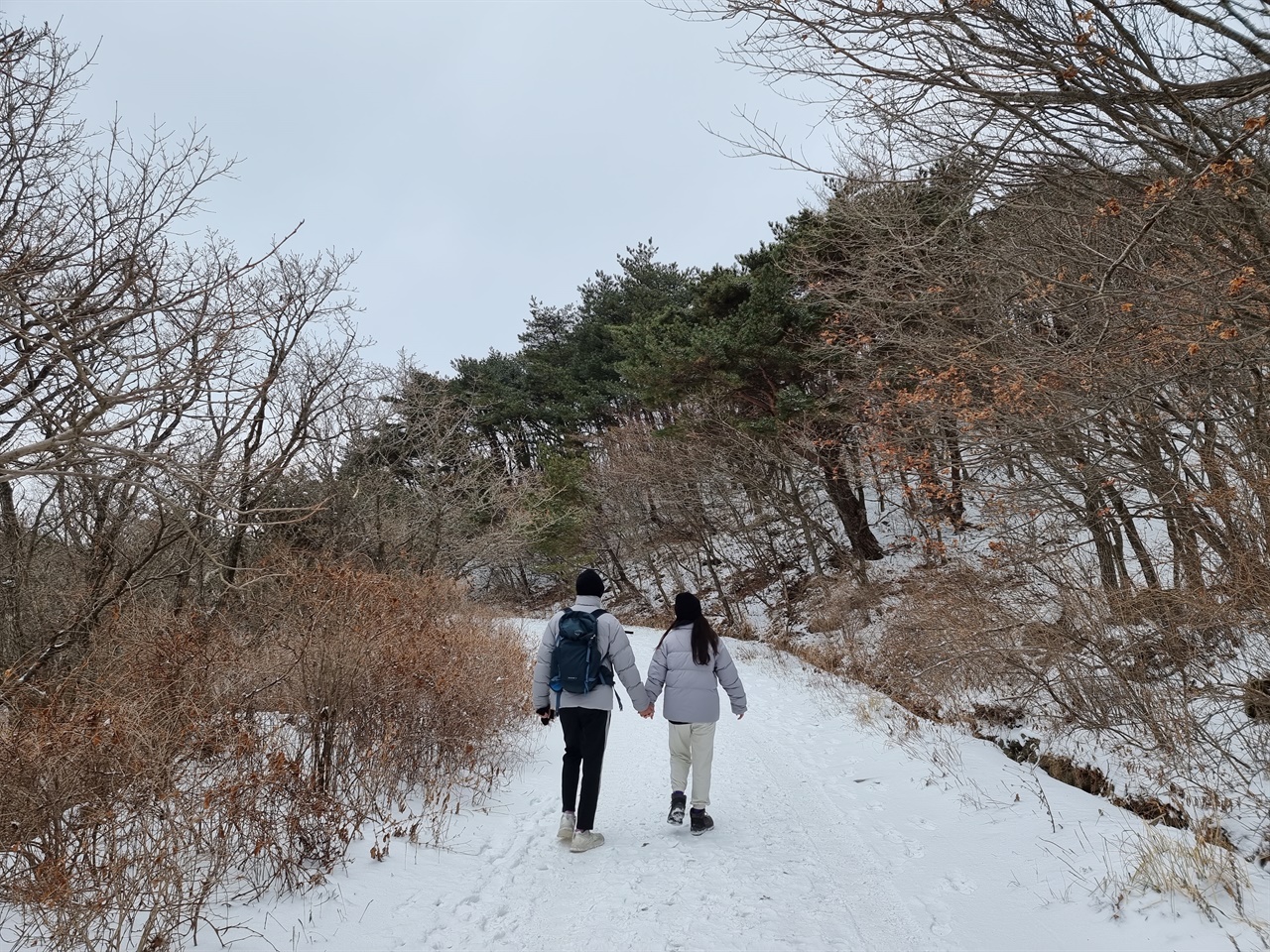 눈이 쌓인 노고단 탐방로