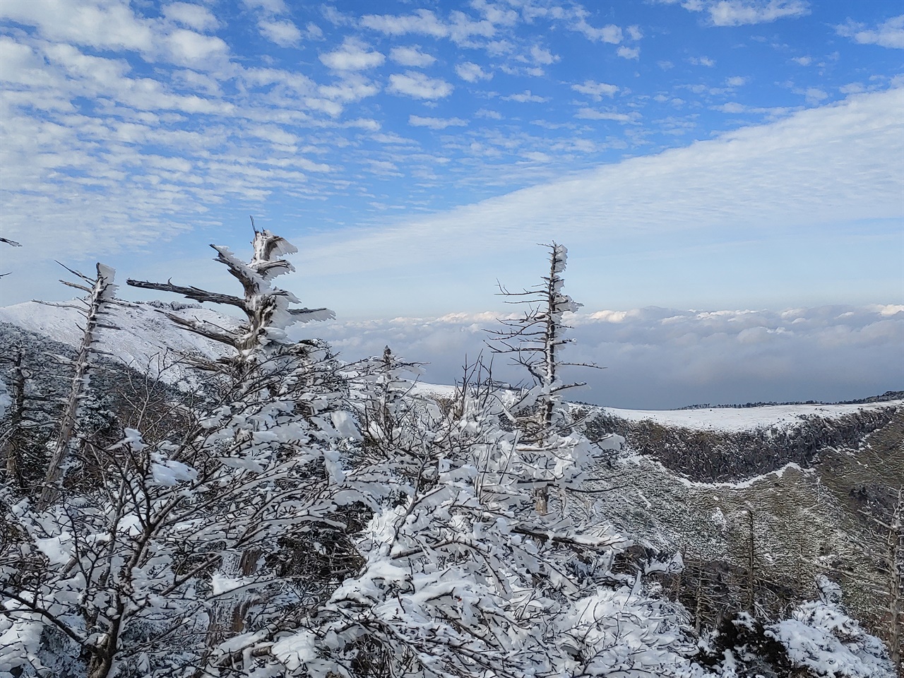 관음사코스 1700미터 이상 고원지대의 설경2 눈꽃이 핀 나무와 흰구름