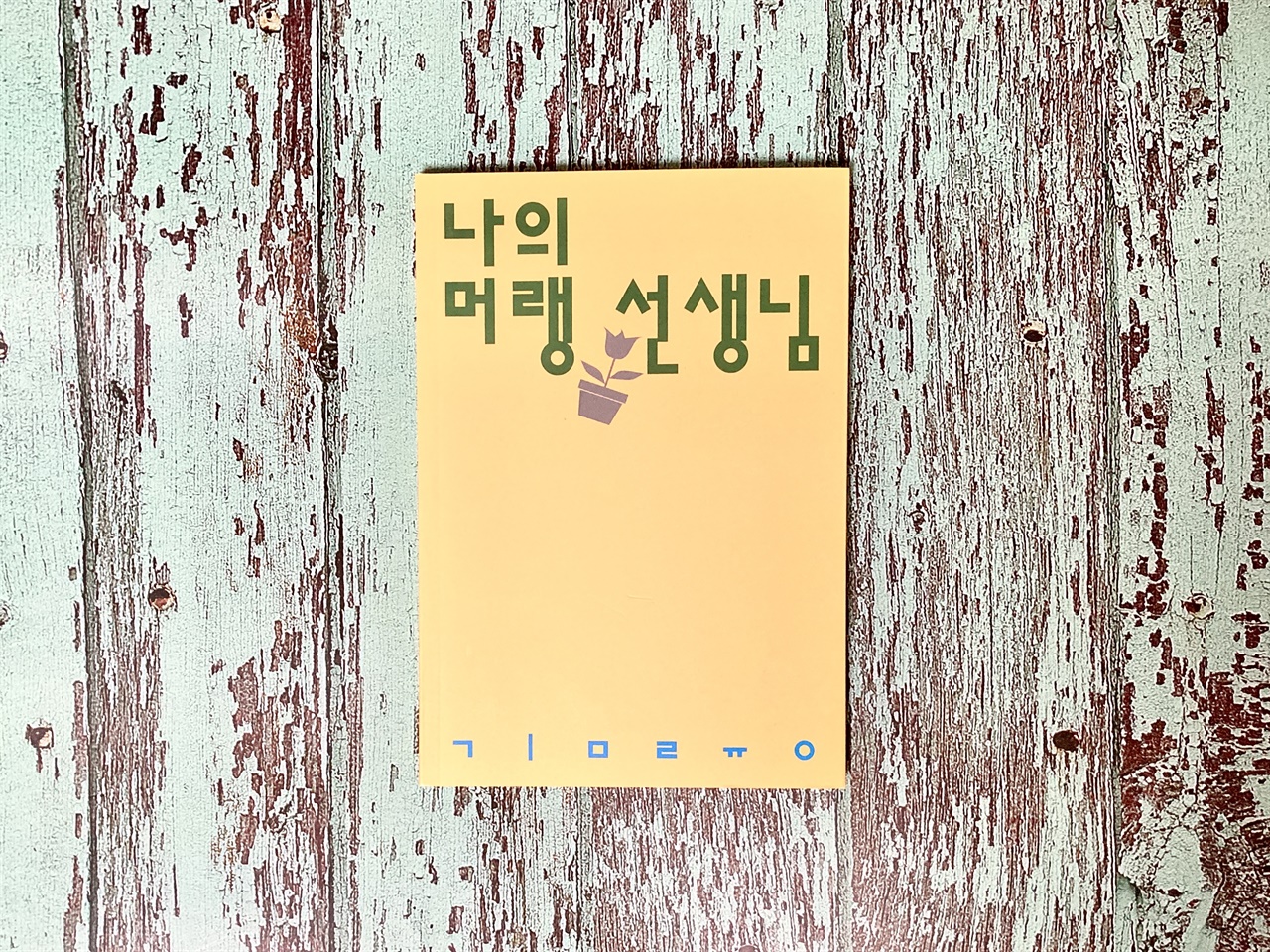 나의 머랭 선생님