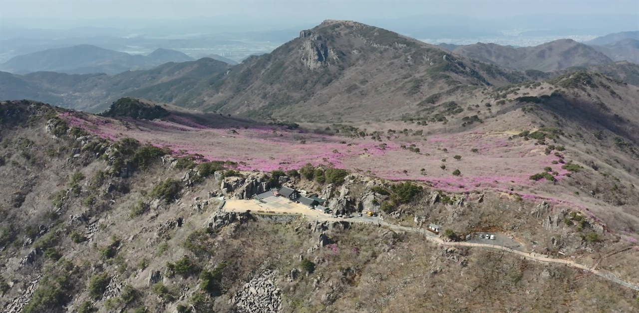 비슬산 정상부 30만 평에 달하는 고위평탄면에 진달래꽃이 피기 시작할 때의 아름다운 모습이다. 