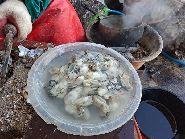  할머니는 뜨거운 물에 시린 손을 녹여가며 굴을 깐다. 잠시도 손에 물 마를 새가 없다. 