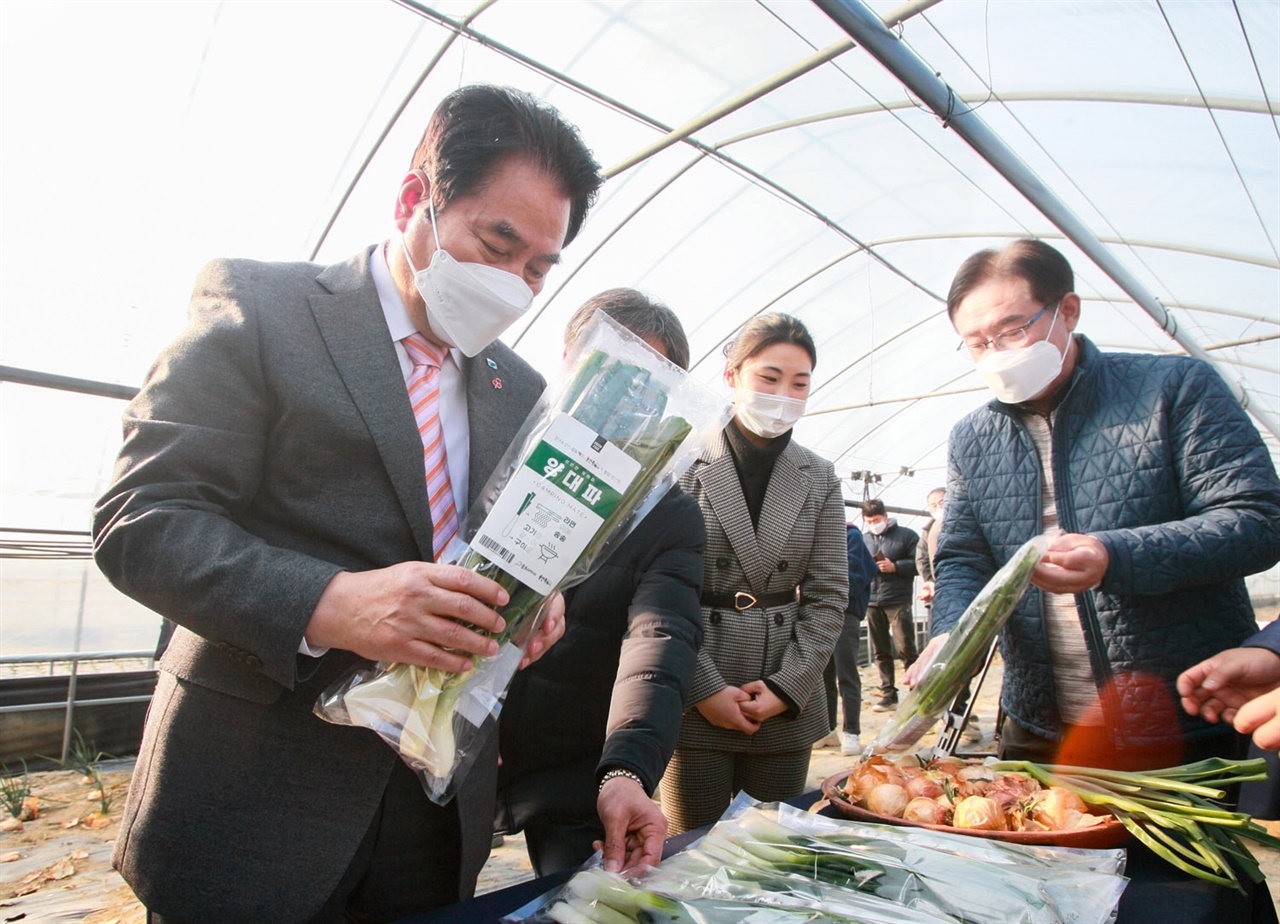  경기 용인시가 전국 최초로 친환경농법으로 재배한 양대파를 출하했다.
