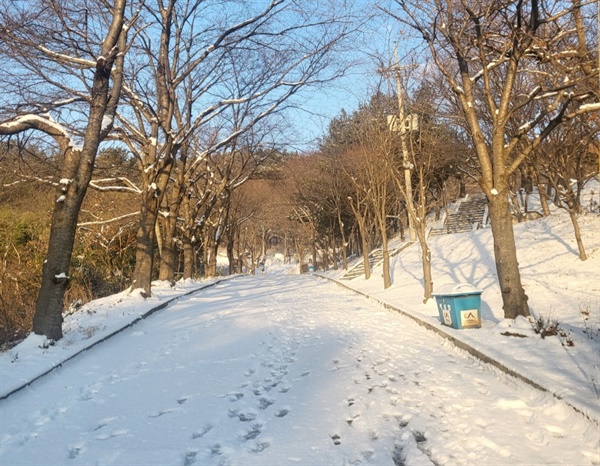 충남지역에 대설주의보가 발효된 가운데 많은 눈이 내렸다. 서산지역은 새벽사이 많은 눈이 내려, 온통 새하얗게 변했다.