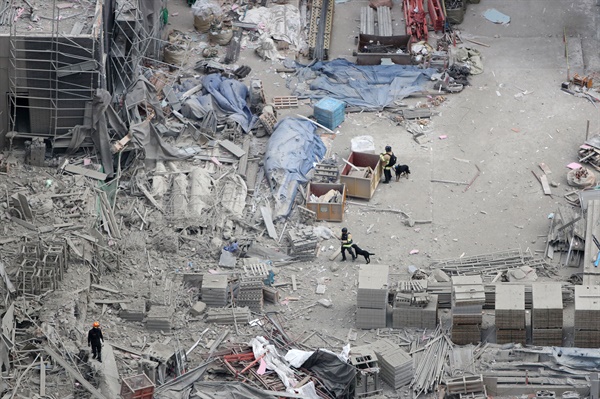 광주 서구 화정아이파크 주상복합아파트 붕괴 사고 사흘째를 맞은 13일 오전 수색견과 구조대원들이 실종자 수색 작업을 벌이고 있다.