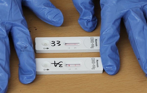 오미크론 방역체계가 시작된 경기도 안성시보건소 선별검사소에서 26일 오전 시민들이 검사한 신속항원검사 키트에 양성 반응이 나타나고 있다. 오미크론이 우세한 광주, 전남, 평택, 안성 등 4개 지역에서는 26일부터 코로나19 유전자증폭(PCR) 검사를 밀접접촉자, 60세 이상 고령층 등 고위험군만 받을 수 있다. 이외 검사 희망자는 선별진료소나 호흡기전담클리닉 등에서 신속항원검사를 받은 후 양성이 나오면 PCR 검사를 받게 된다.