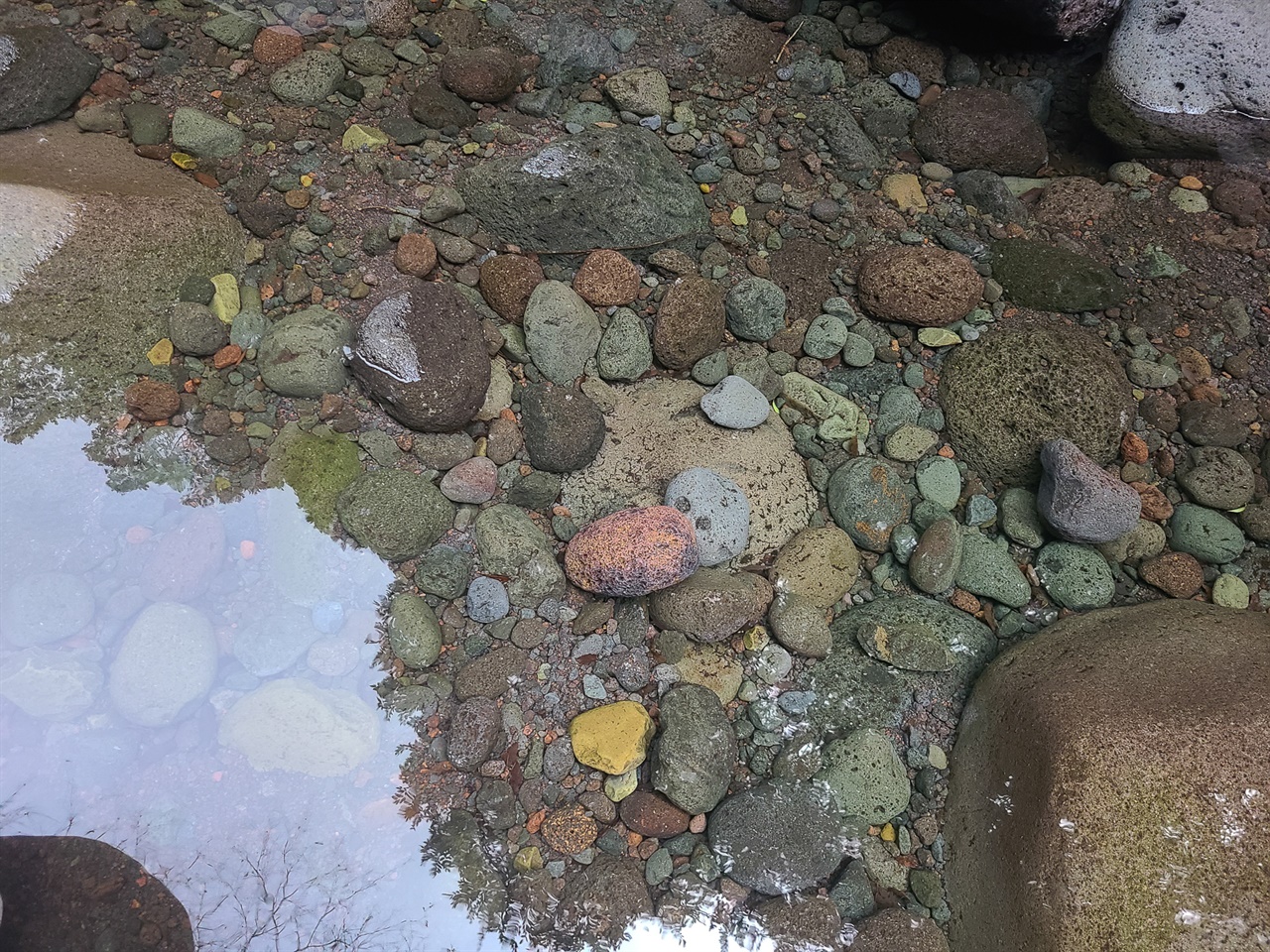 얼핏 보면 물 속이 아닌 듯, 나뭇잎의 그림자 선을 보고서야 비로소 물 속임을 알 수 있을 정도의 맑고 잔잔한 흐름. 그 속에 형형색색의 돌들이 있다.