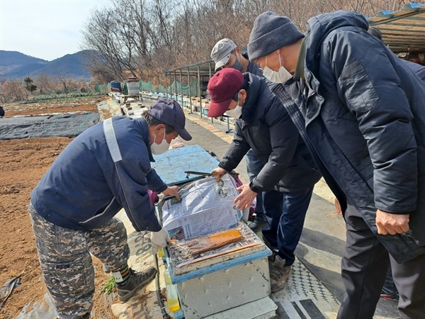 여수 해산동의 한 양봉 농가에 모인 여수시 양봉 회원들이 월동 중인 꿀벌을 확인하고 있다.