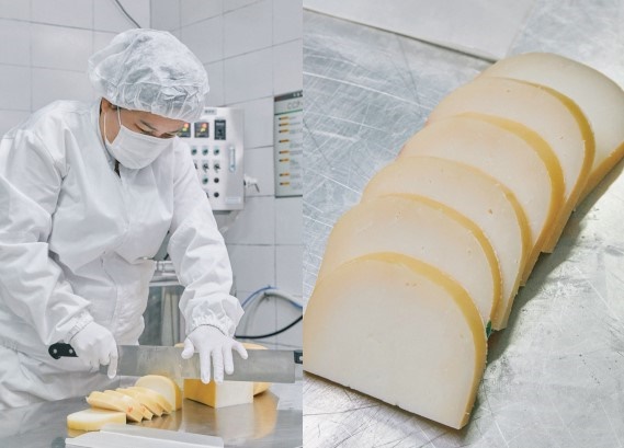 젖소의 컨디션이 가장 좋은 봄과 늦가을에 생산된 원유로 치즈를 만든다