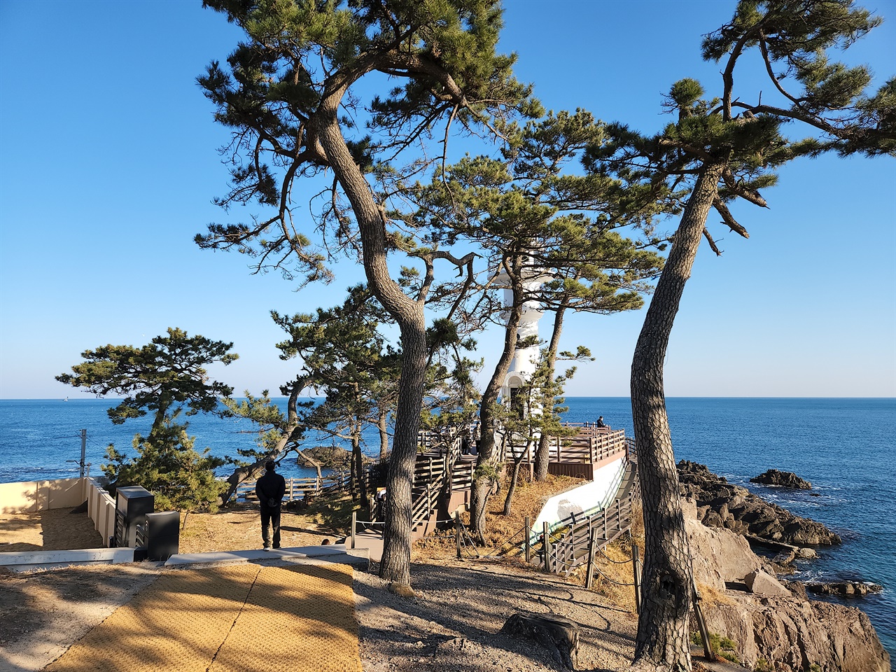 깨끗하게 단장된 경주 감포 송대말등대 주변 모습