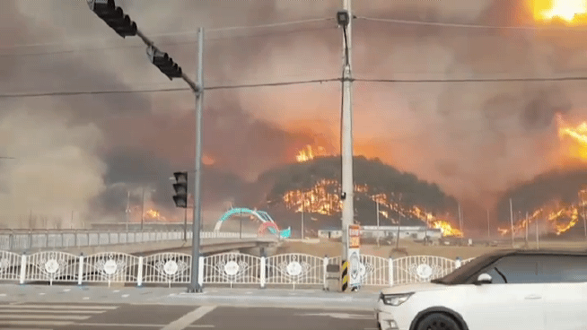 경북 울진에서 큰 산불이 발생해 산림청이 '산불 3단계'와 산불재난 국가위기경보 '심각'을 발령했다.