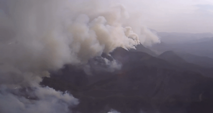경북 울진에서 큰 산불이 발생해 산림청이 '산불 3단계'와 산불재난 국가위기경보 '심각'을 발령했다.