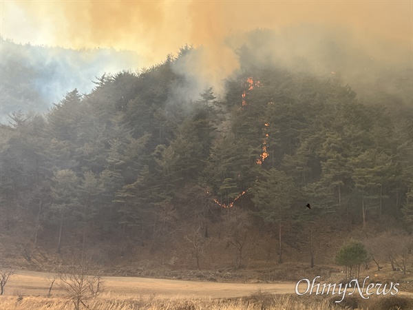 경북 울진군 북면에서 4일 오전 발생한 불길이 강풍을 타고 계속 번지고 있다.