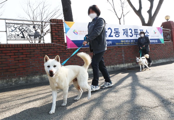 제20대 대통령선거일인 9일 전주시 금상동 금상어린이집에마련된 우아2동 제3투표소에서 한 표를 행사한 유권자가 애견과 함께 투표소를 나오고 있다. 