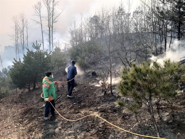 산불 잔불제거 동해시