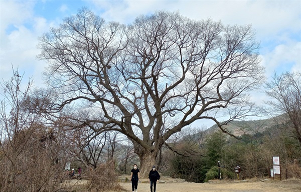 당산나무 쉼터. 2007년 5월 19일 故 노무현 대통령도 현직 대통령으로는 최초로 무등산에 오르면서 산행 중인 시민들과 만나 담소를 나누며 쉬었던 곳이다
