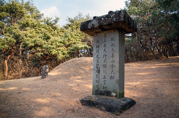 뒷날 세운 비석. 비문은 대산 이상정(1711~1781)이 지었다. 왼쪽에 문자 없는 비석이 보인다.