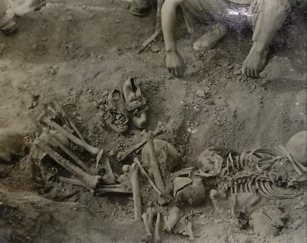 경북유족회가 1960년 9월 유해발굴하는 모습
출처: 진실화해위원회
