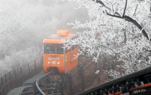  3월 18일 상고대 핀 대봉산 휴양밸리