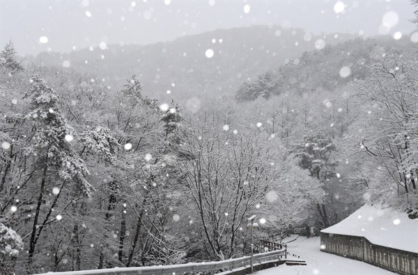  19일 경남 거창군 위천면 금원산 자연휴양림