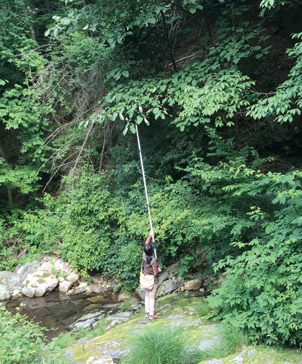 식물체 수집 및 조사