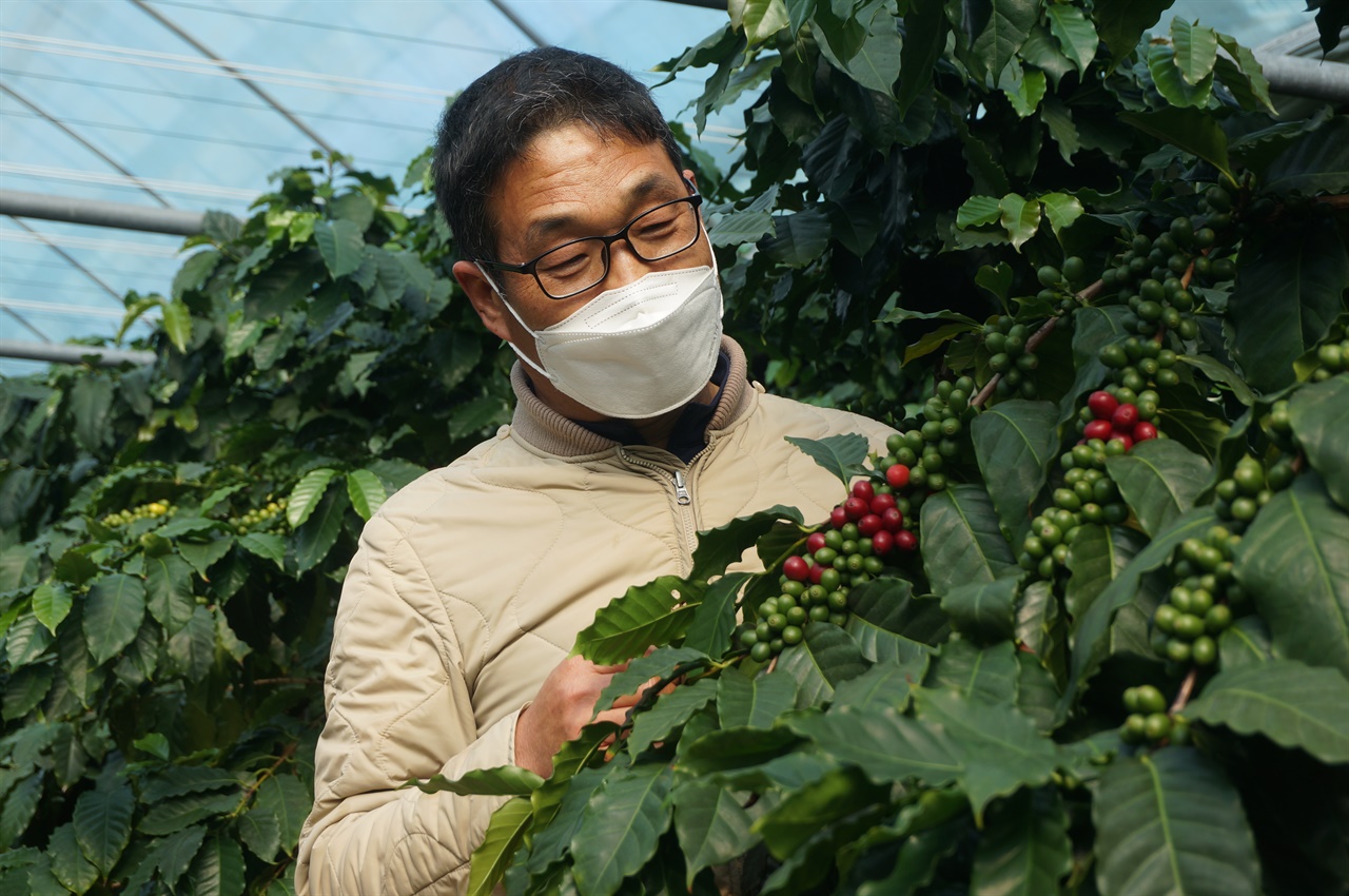 박혁원 이천커피체험농장 대표는 7년 만에 국산커피 재배에 성공했고 2021년부터 커피체험을 운영하고 있다. 