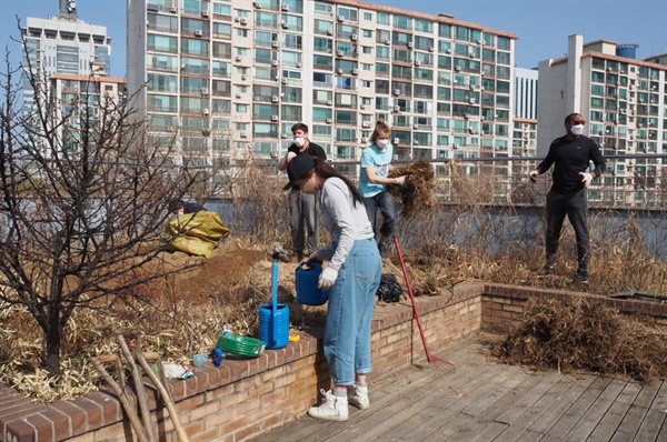 여의샛강센터 옥상정원을 가꾸는 데 여념이 없는 프랑스인 자원봉사자들입니다. 