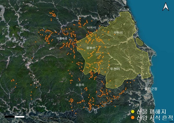 산불 피해지 내 산양 서식지 (2002-2020년 녹색연합 산양조사 자료)