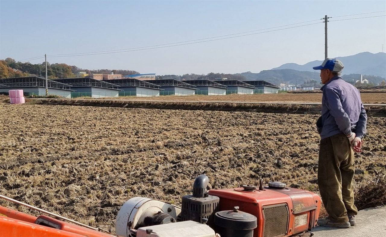  충남 아산시 선장면 농지에 건설된 태양광 발전시설을 바라보고 있는 농민.