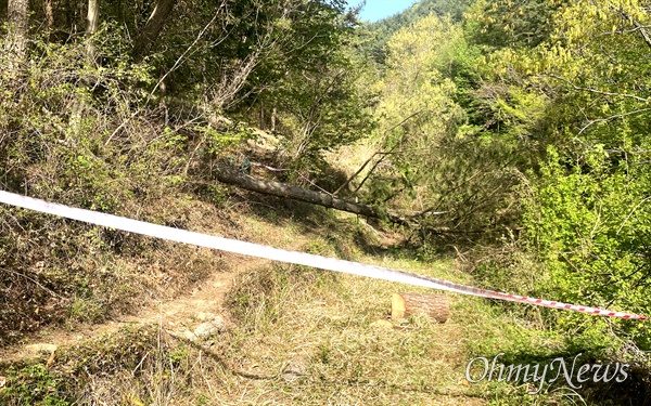 4월 8일 오후 경남 사천시 사남면 능화마을 뒷산 벌목 작업하다 발생한 중대재해 현장.