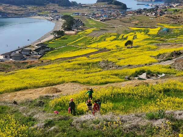 청산도 서편제 길