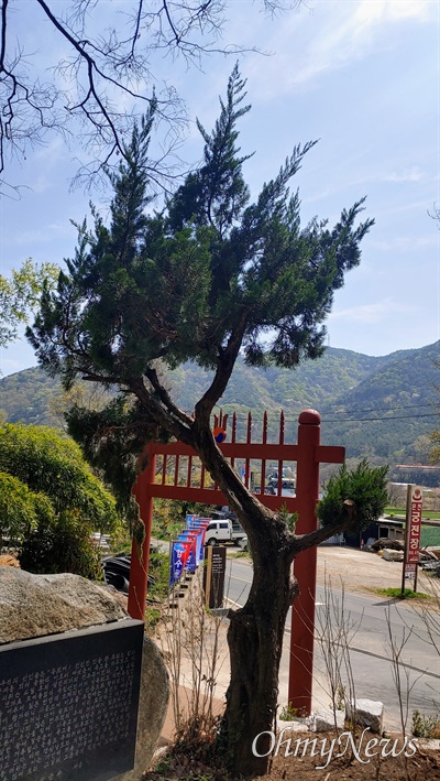 창원 마산합포구 진전면 팔의사묘역의 홍살문과 카이즈카 향나무.
