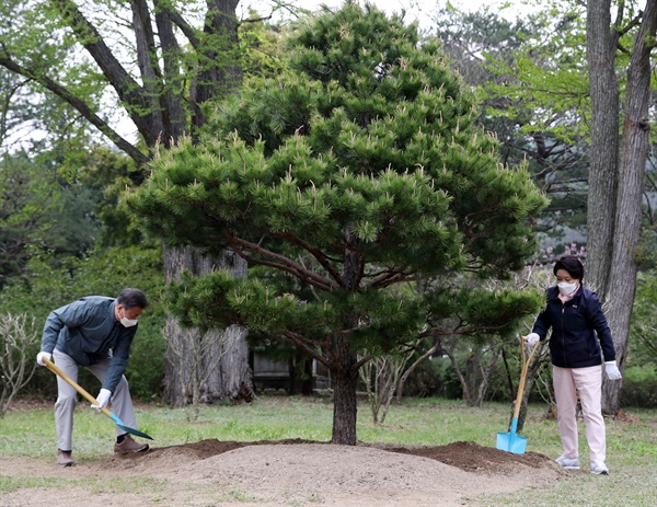 문재인 대통령과 김정숙 여사가 22일 오후 경기도 포천시 국립수목원을 방문해 기념식수를 하고 있다.