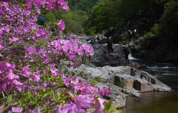  거창 남덕유산 월성계곡