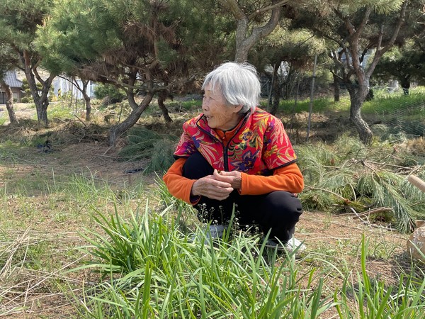 이이분 할머니는 서봉산 자락을 쳐다보며 "저 산 골짜기에 있는 진펄에서 께묵을 캤다"고 말했다. 