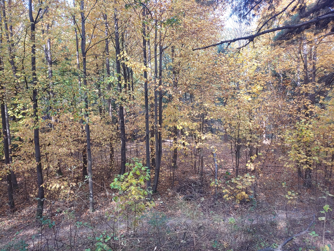 노랑길에서 볼 수 있는 가을 풍경 
