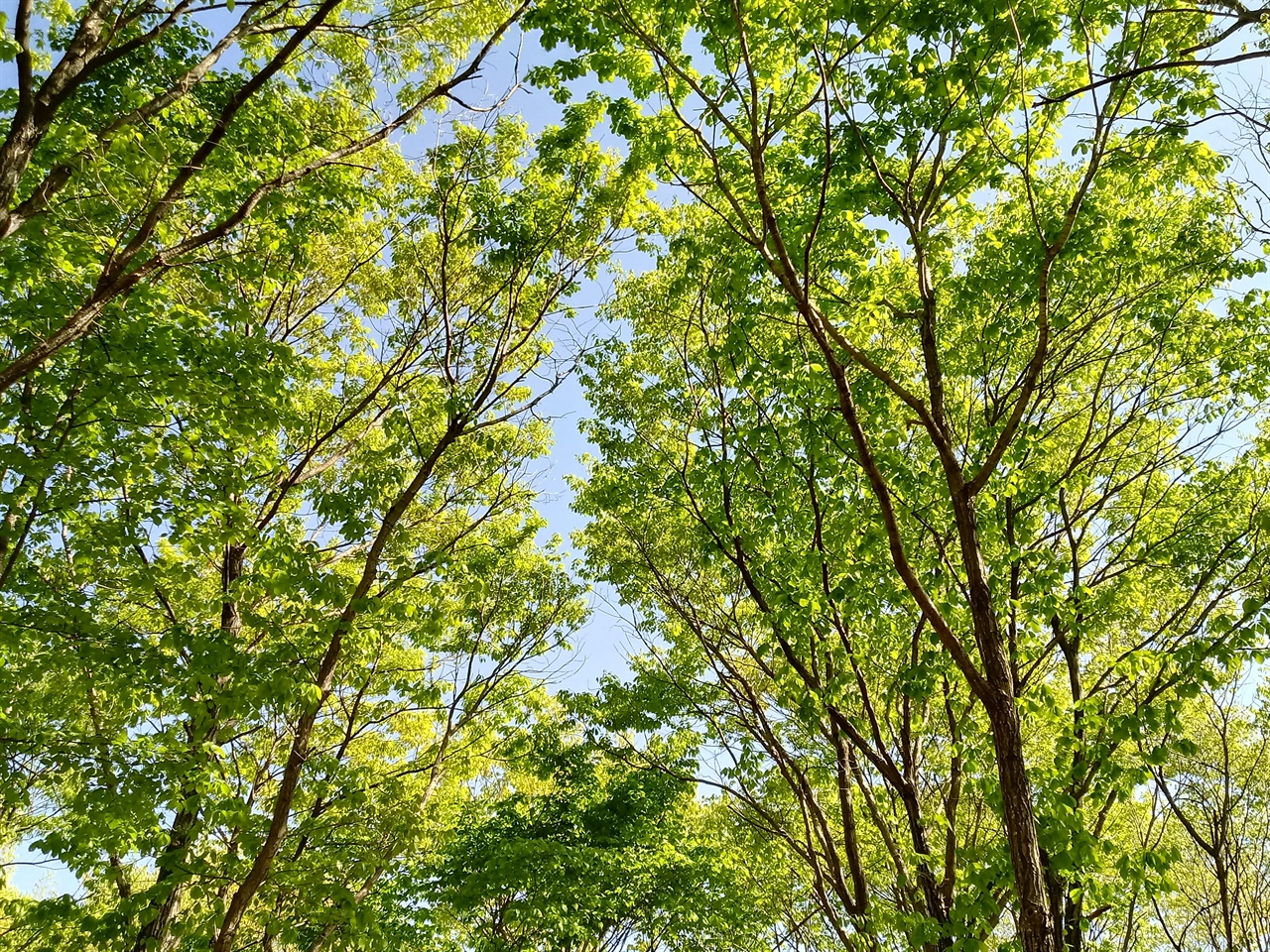 달궁휠링캠핑장