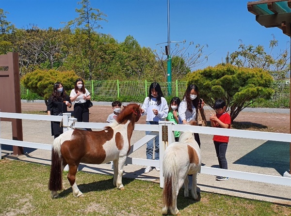 승마 체험을 마친 아이들이 작은 말에게 당근을 주고 있다.