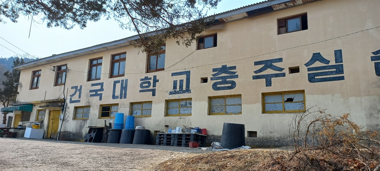  충주 보도연맹원들이 학살된 싸리재(현재는 건국대학교 충주실습장)