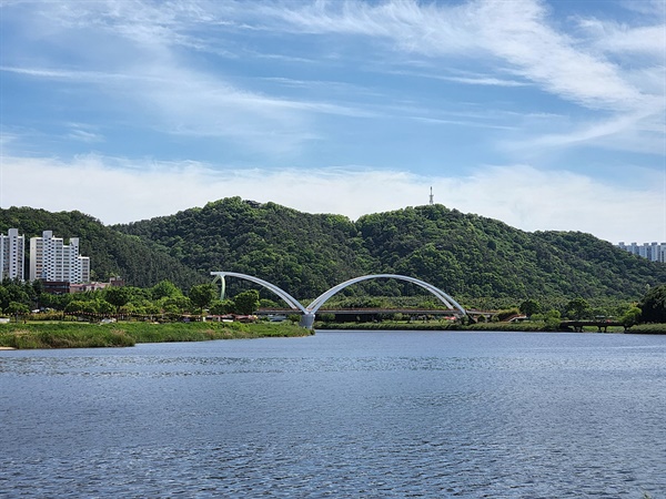 울산 태화루에서 바라다 본 십리대밭교 모습(2022년 5월 9일 오후 촬영)