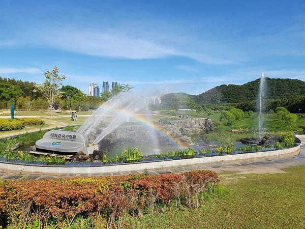울산 태화강 국가정원 오산못 무지개 분수 모습(2022.5.9. 오후 촬영)