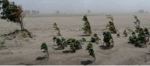 출처 : 제15차 유엔 사막화 사막화 방지 협약 당사국 총회 자료집