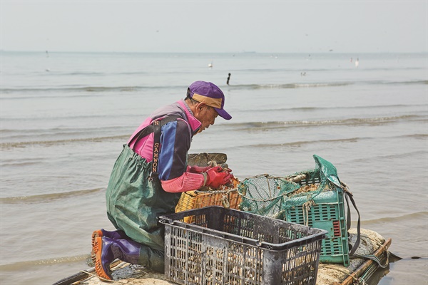  ?하루 일하면 고작 2~3만 원이 손에 쥐여진다. ?그래도 여전히 품을 내어주는 바다가 고맙다.